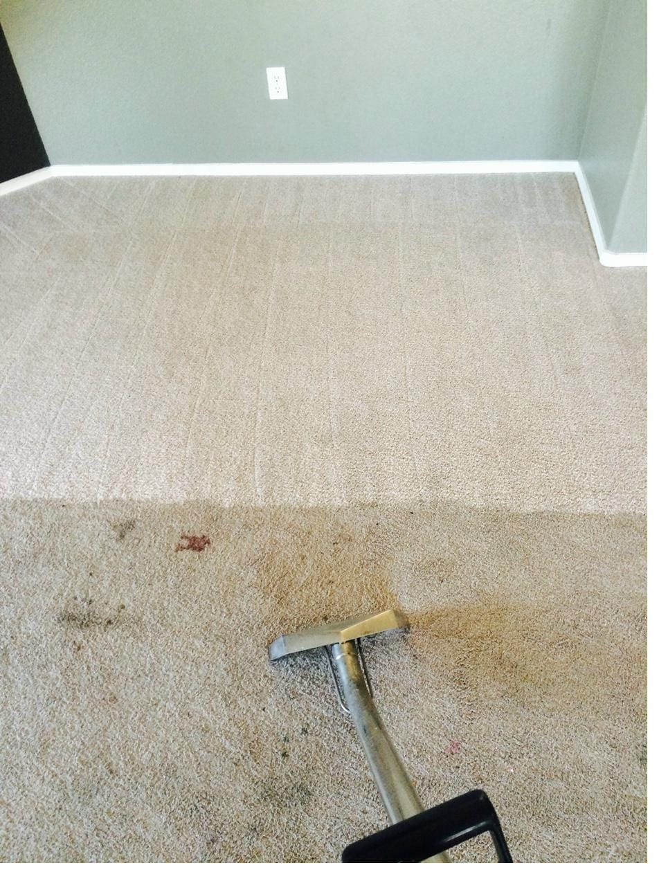 Carpet during cleaning, dirty side next to the cleaned side